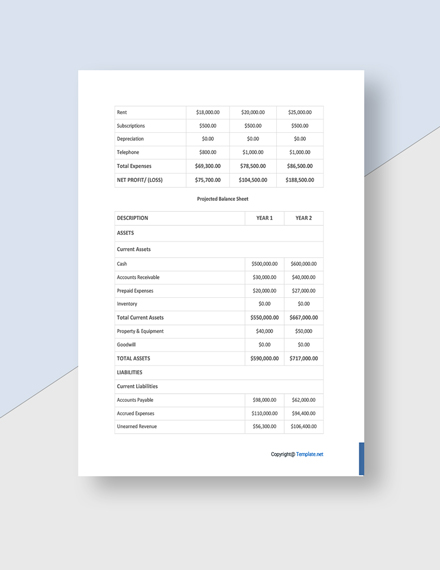 Free Blank Advertising Agency Business Plan Template - Google Docs ...