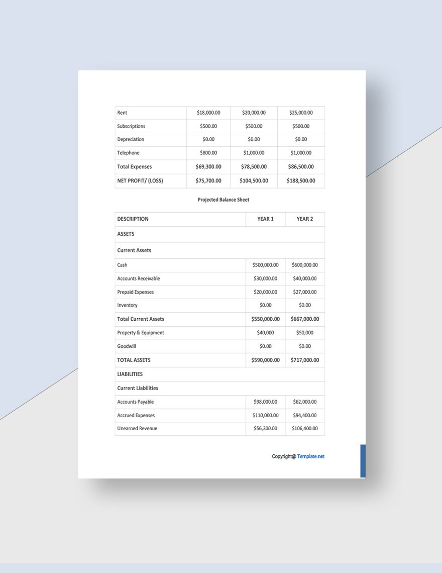 Free Blank Advertising Agency Business Plan Template