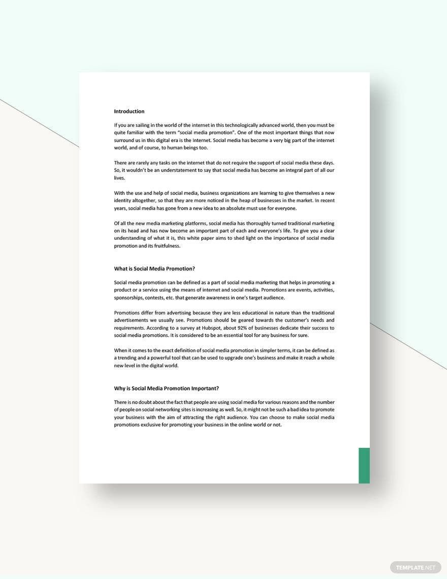 Social Media Promotion White Paper Template in Word, Google Docs