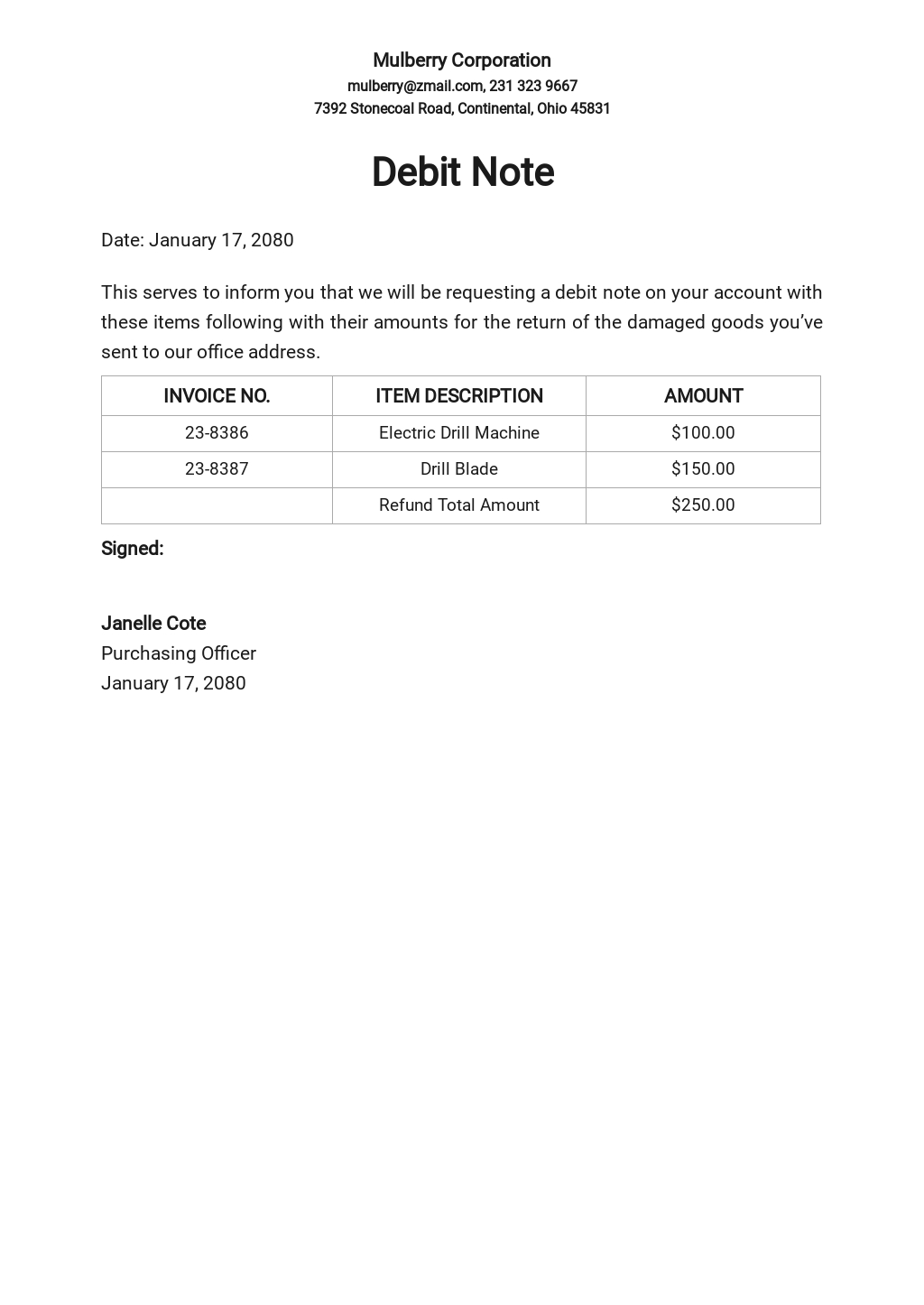 Sample Debit Note Template [Free PDF] - Word (DOC) | Apple (MAC) Pages