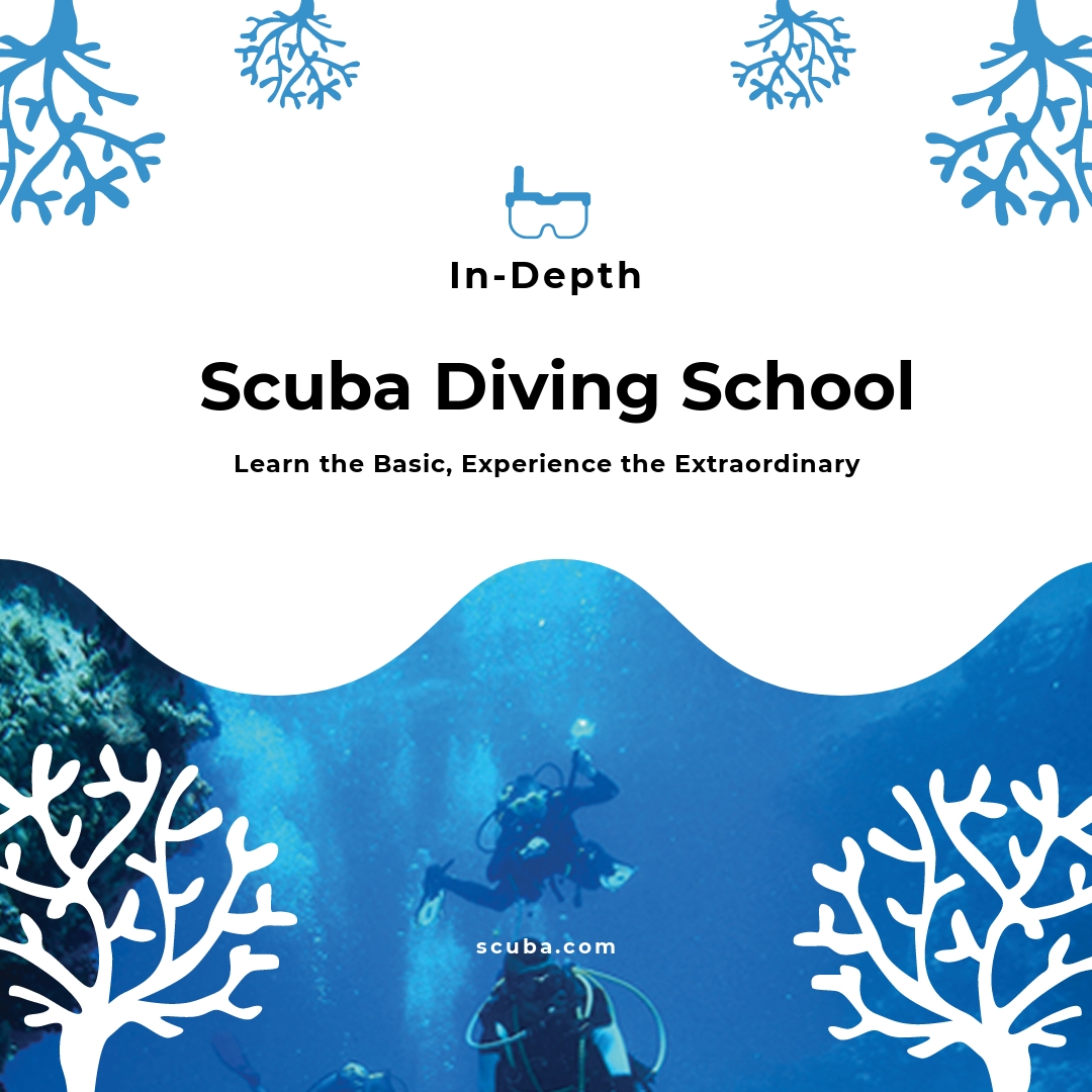 Scuba Diving School Twitter Post Template - PSD | Template.net