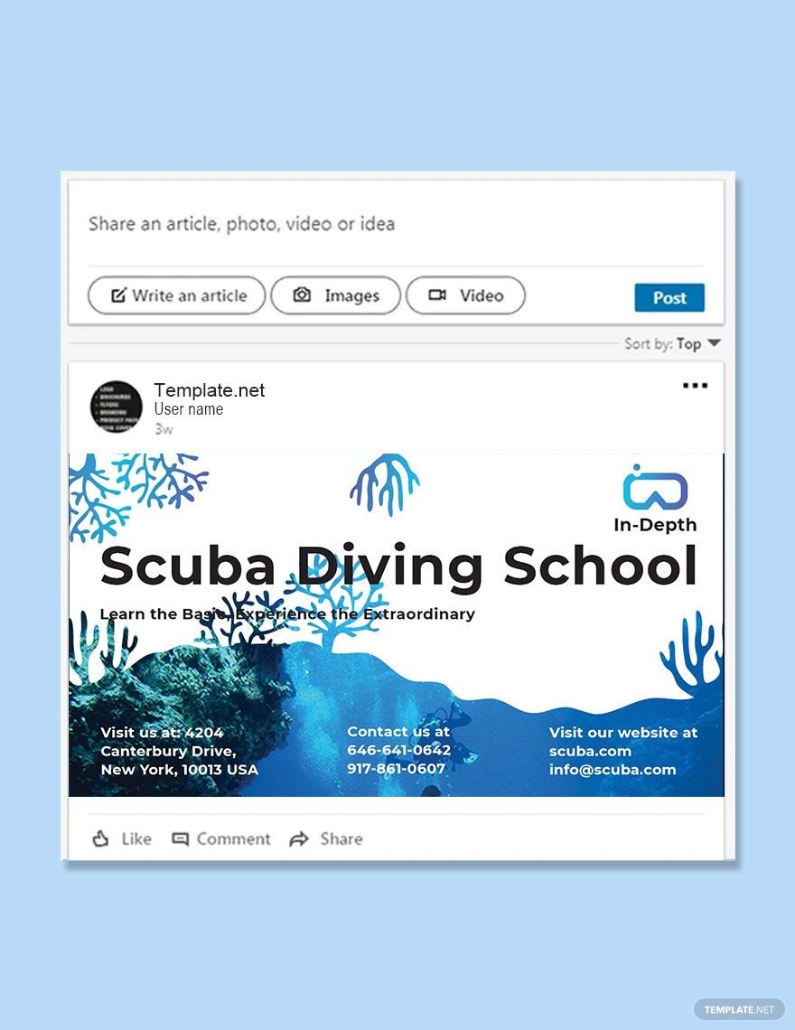 Scuba Diving School Linkedin Post Template