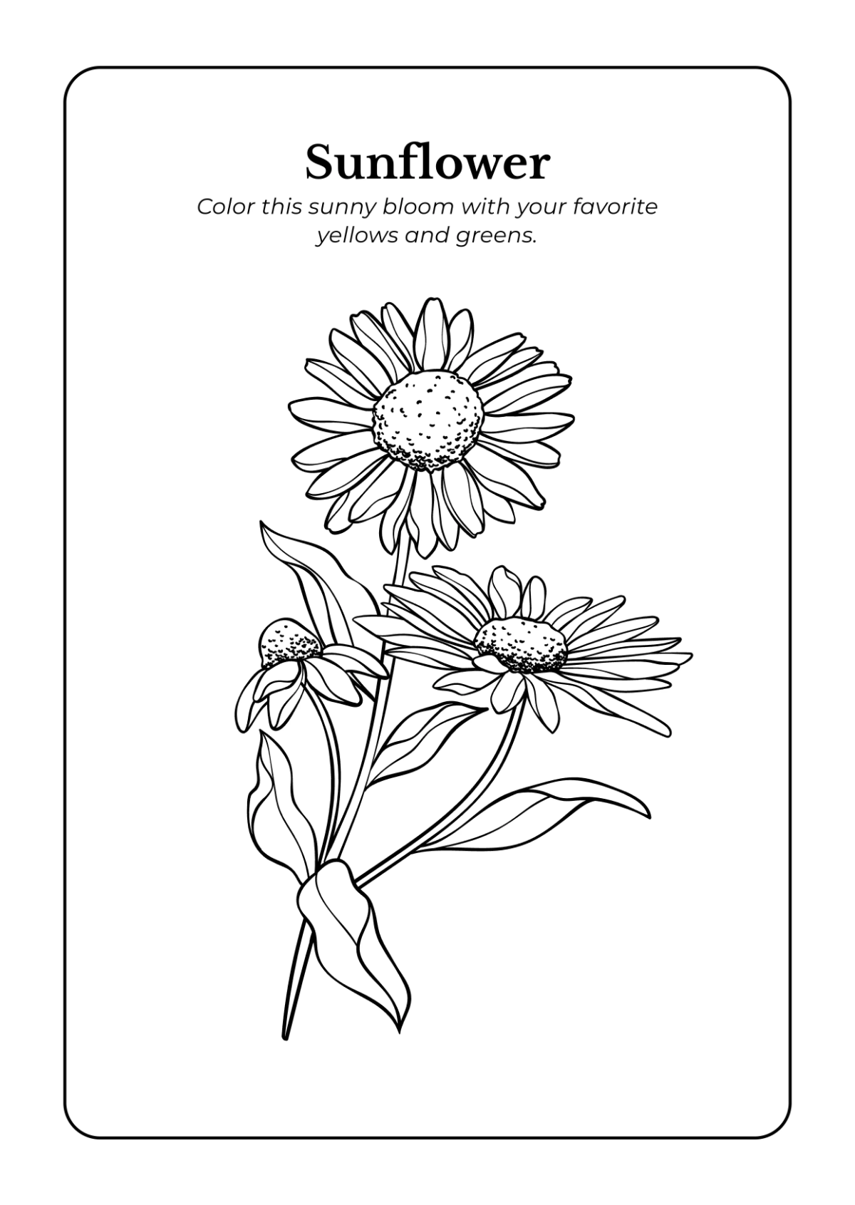 Free Flowers Coloring Book Template to Edit Online