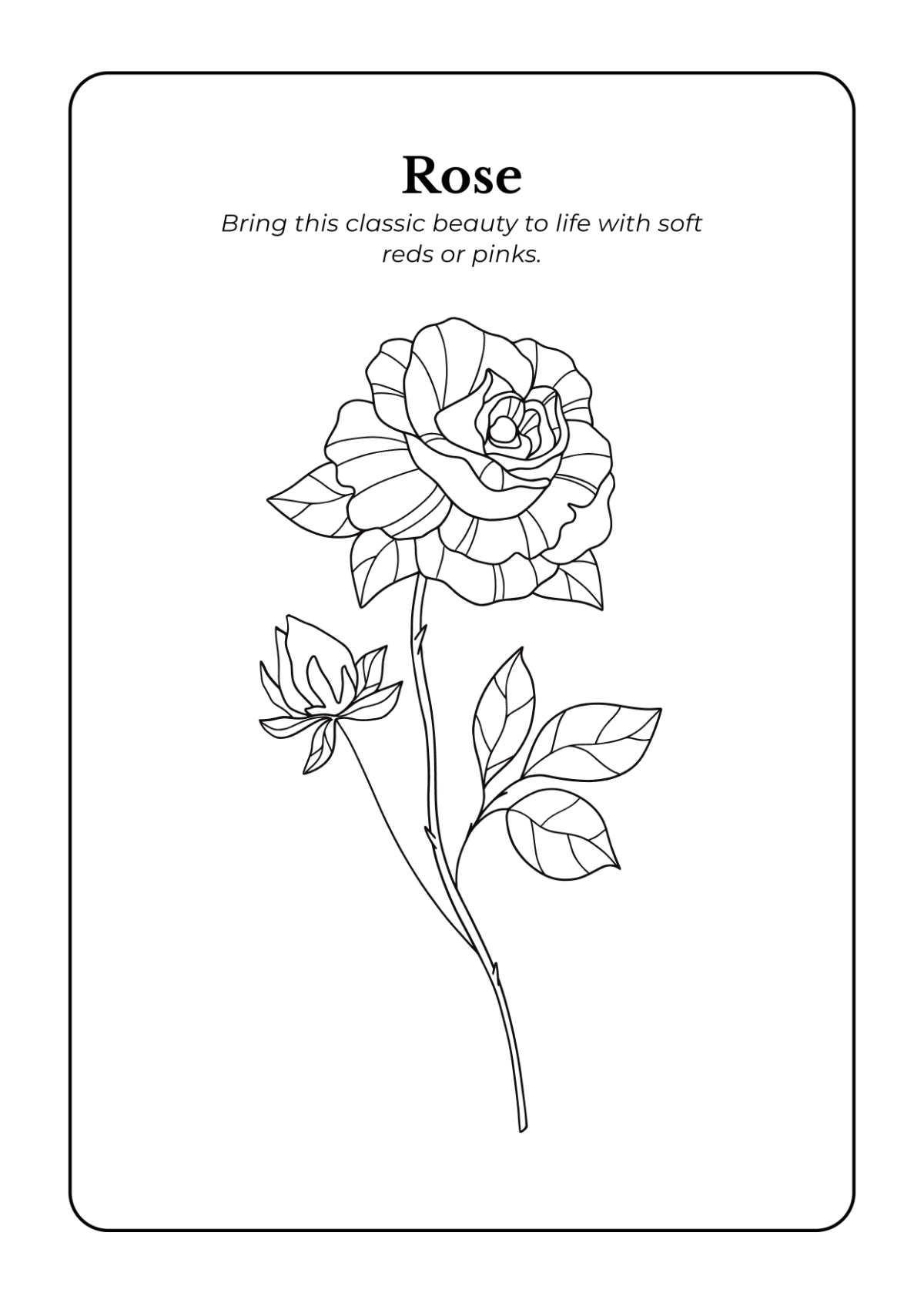 Free Flowers Coloring Book Template to Edit Online