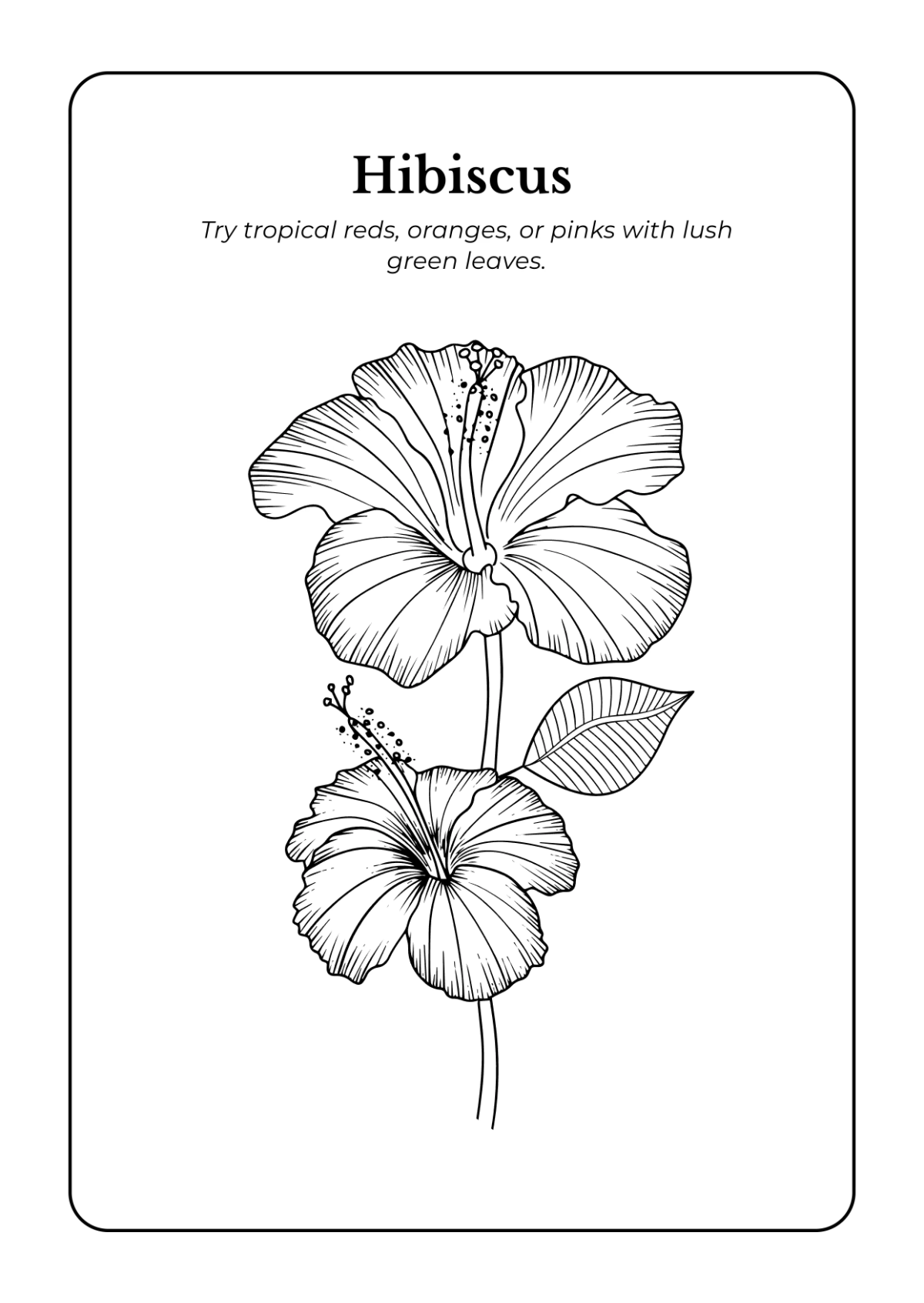 Free Flowers Coloring Book Template to Edit Online