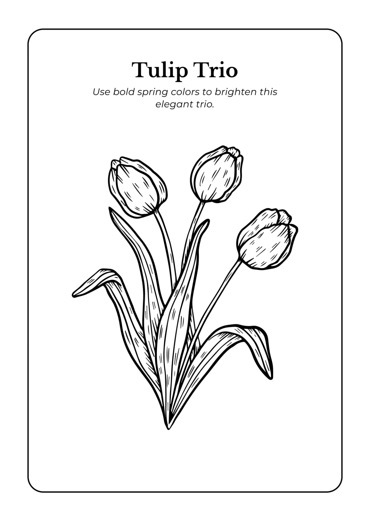Free Flowers Coloring Book Template to Edit Online