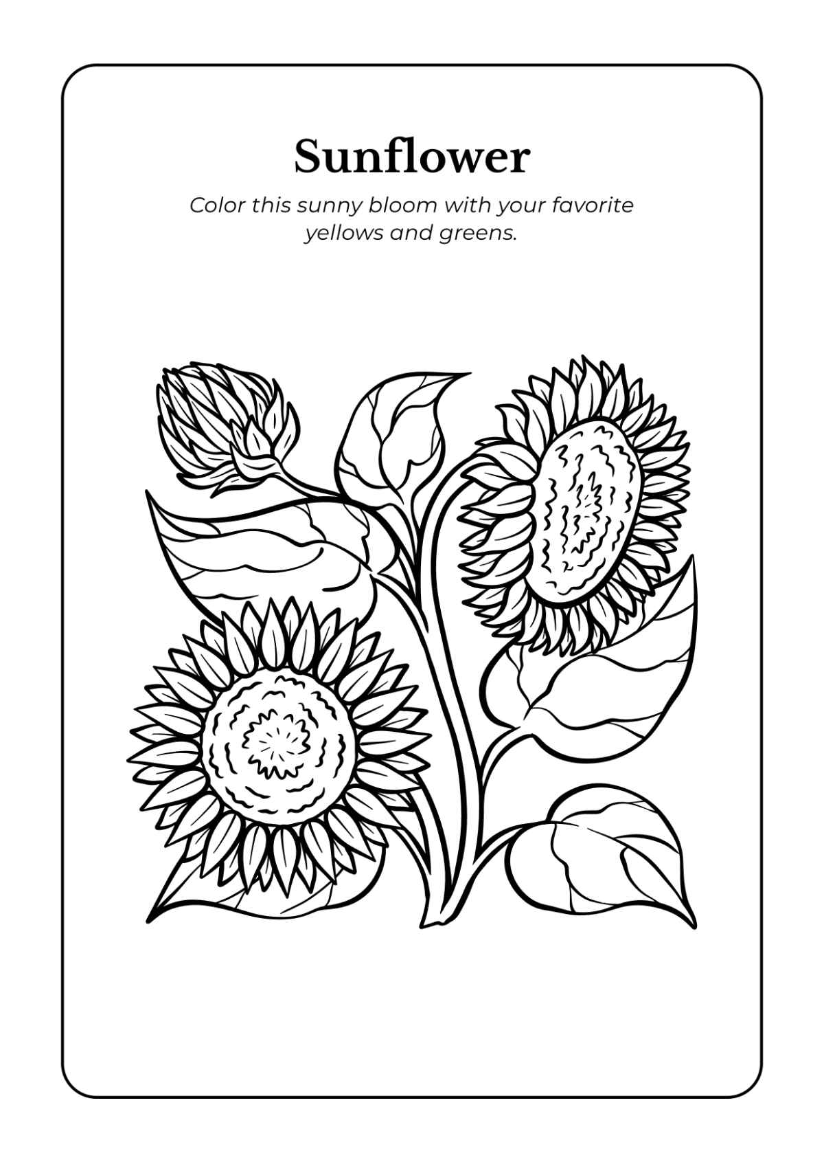 Free Flowers Coloring Book Template to Edit Online