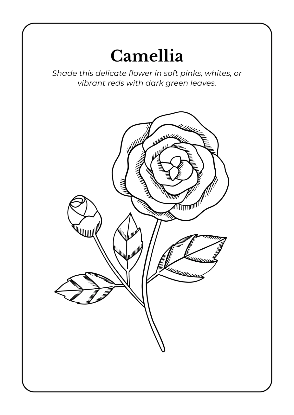 Free Flowers Coloring Book Template to Edit Online