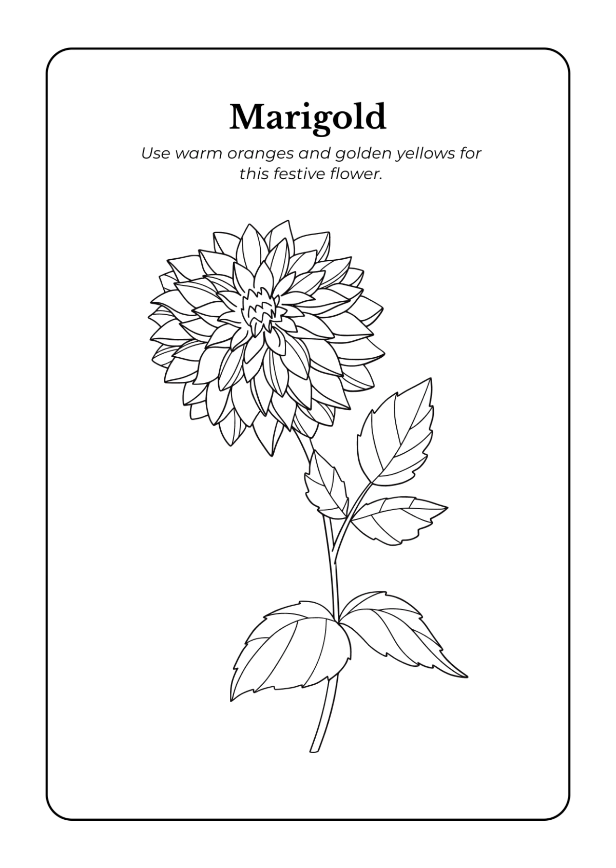 Free Flowers Coloring Book Template to Edit Online