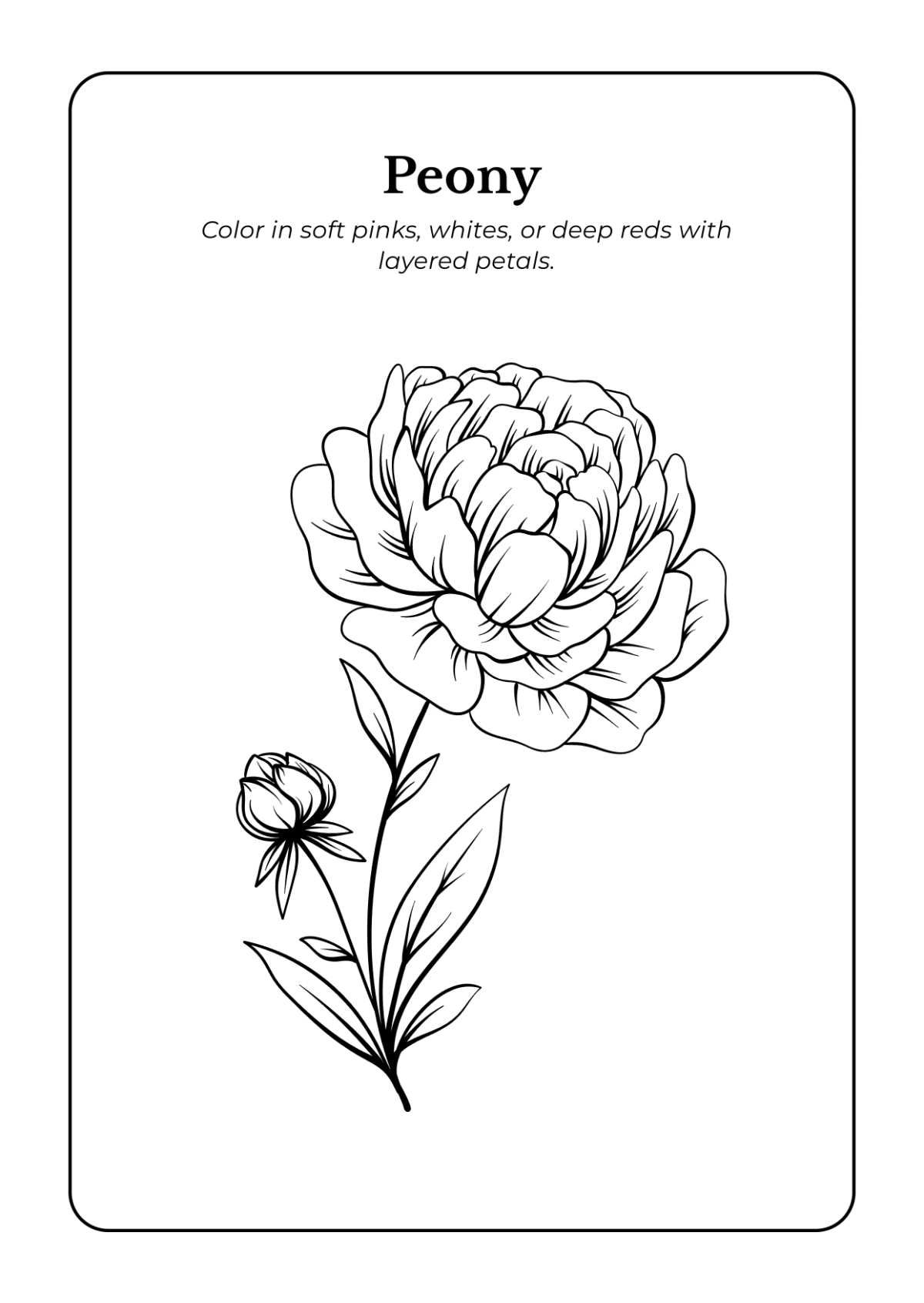 Free Flowers Coloring Book Template to Edit Online