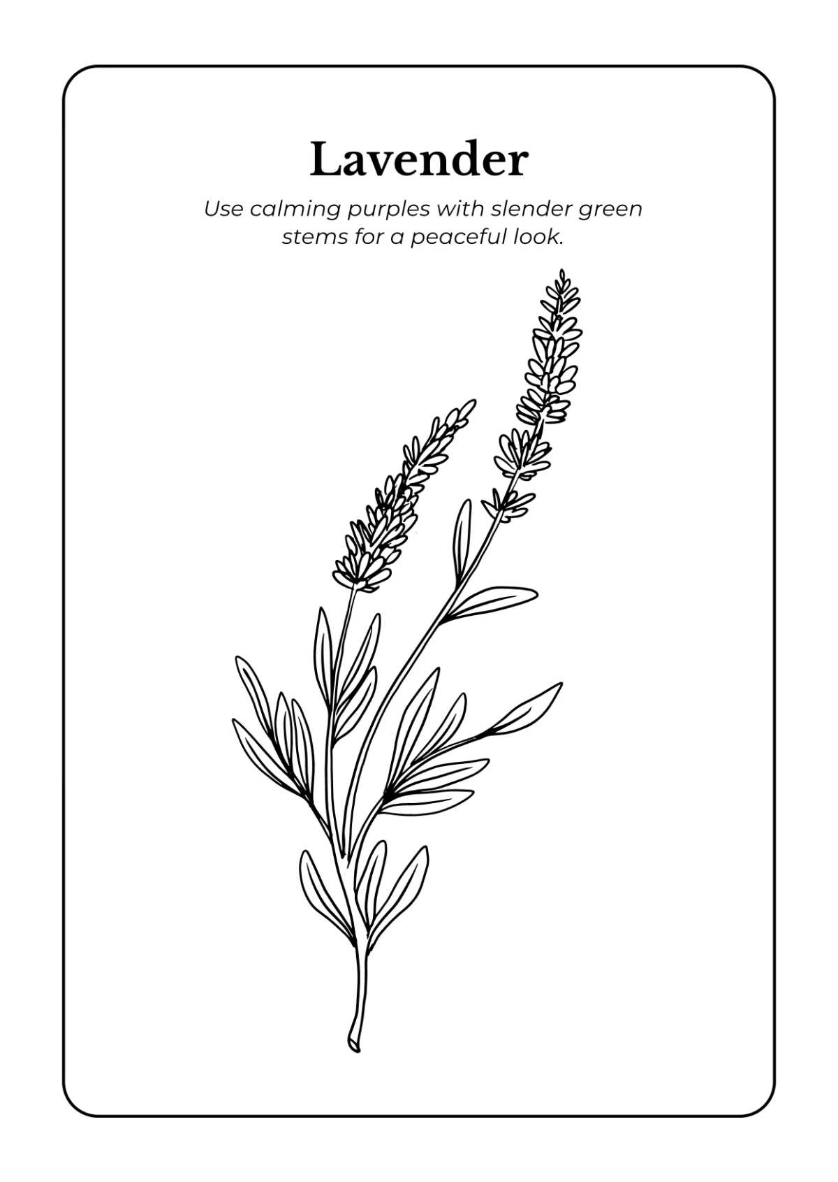 Free Flowers Coloring Book Template to Edit Online