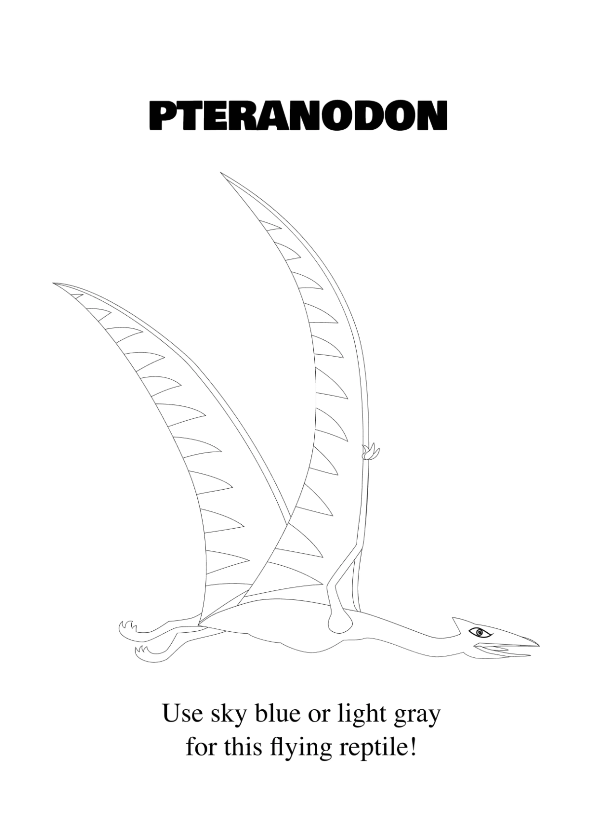 Free Dinosaur Coloring Book Template to Edit Online