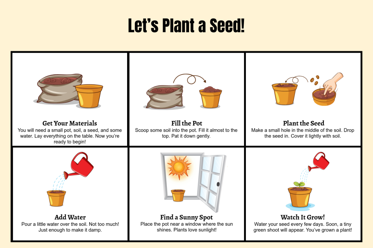 Free KS2 Instructional Storyboard Template to Edit Online