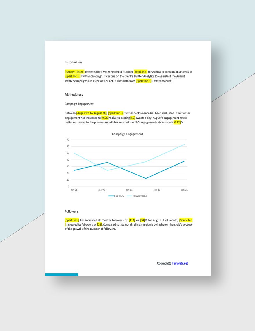 Advertising Agency Report Template