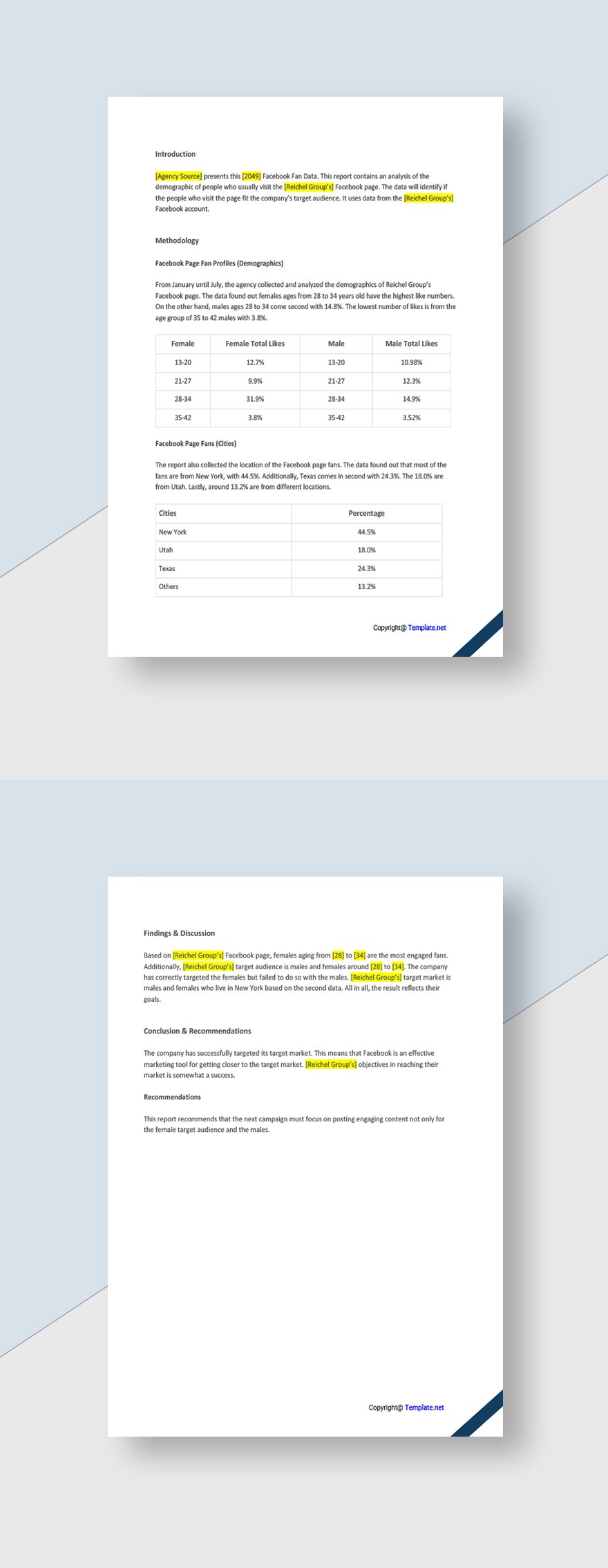Simple Advertising Agency Report Template