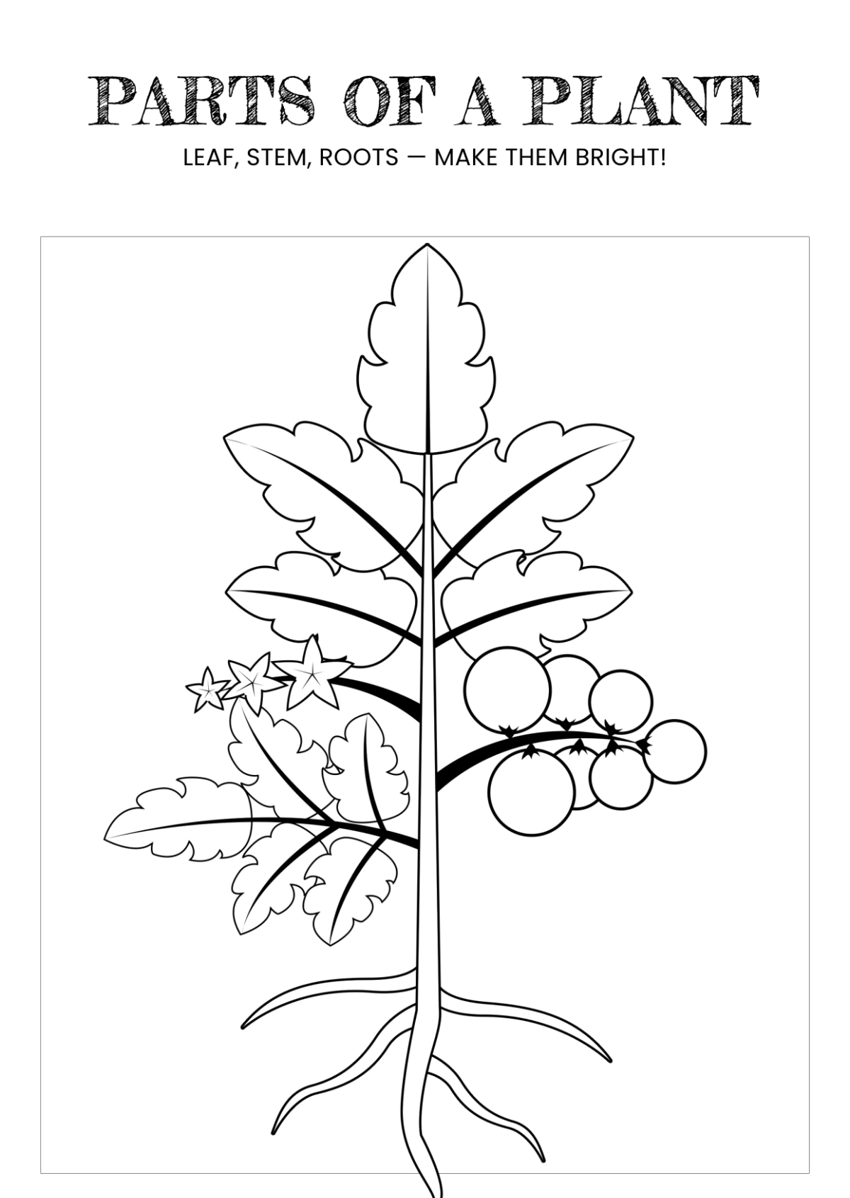 Free Science Coloring Book for Grade 1 Template to Edit Online