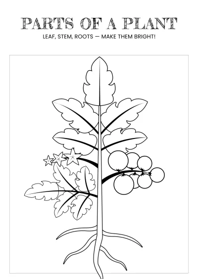 Free Science Coloring Book for Grade 1 Template to Edit Online