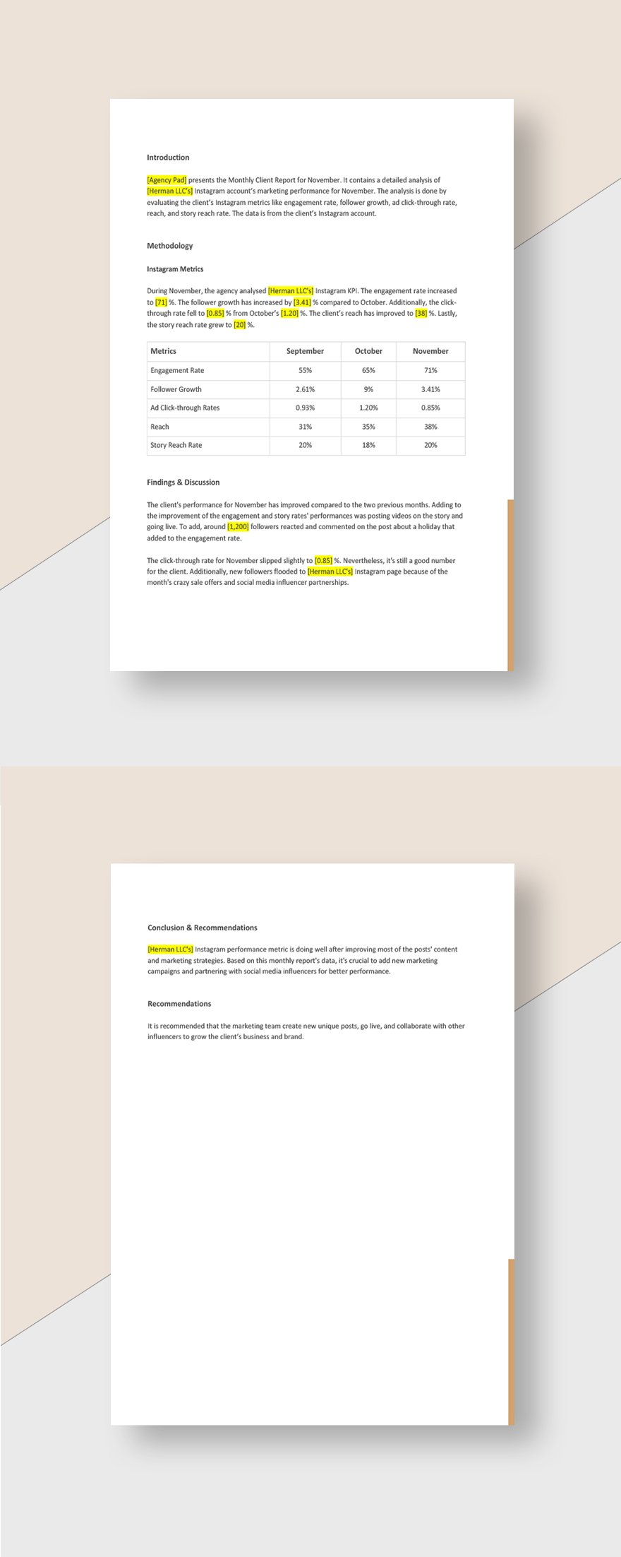Editable Advertising Agency Monthly Client Report Template