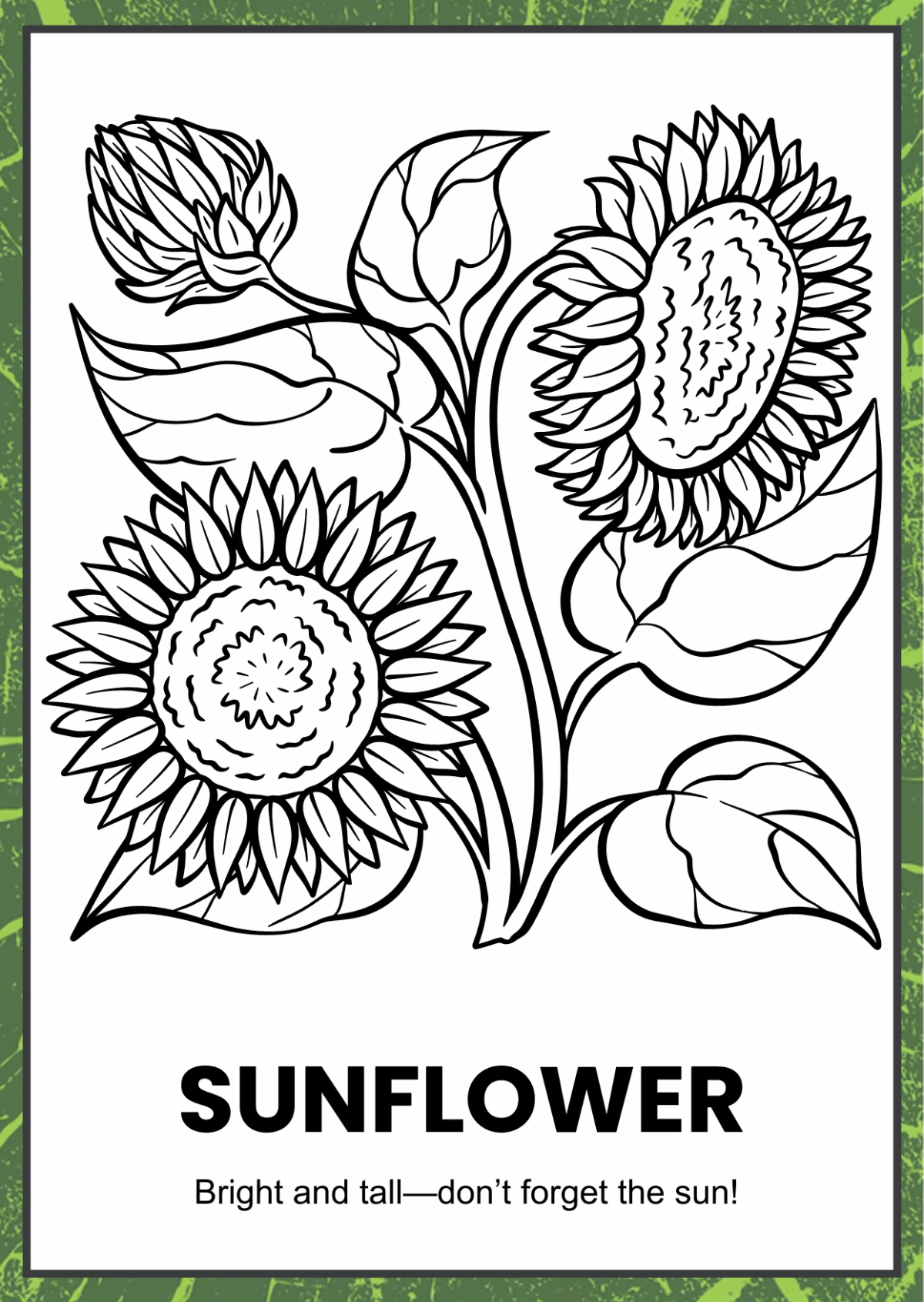 Free Nature Coloring Book Template to Edit Online