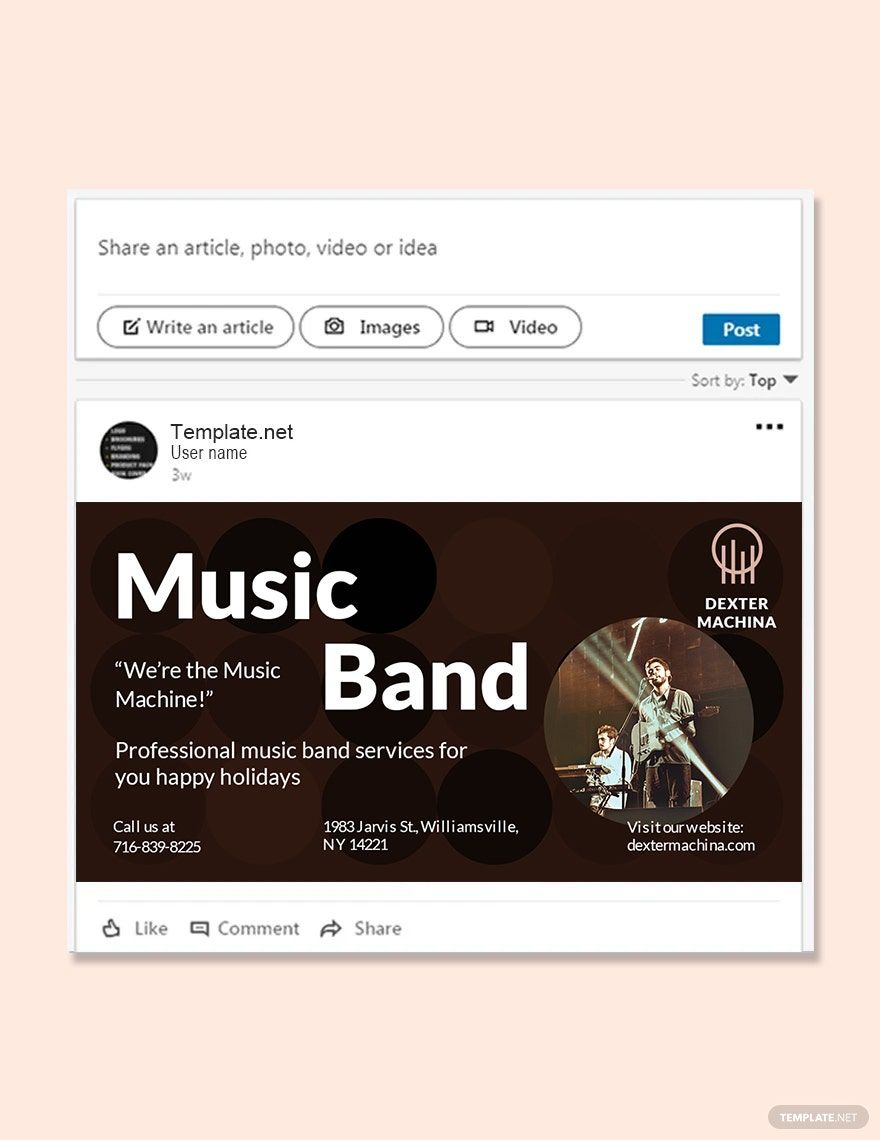 Music Band Linkedin Post Template in PSD