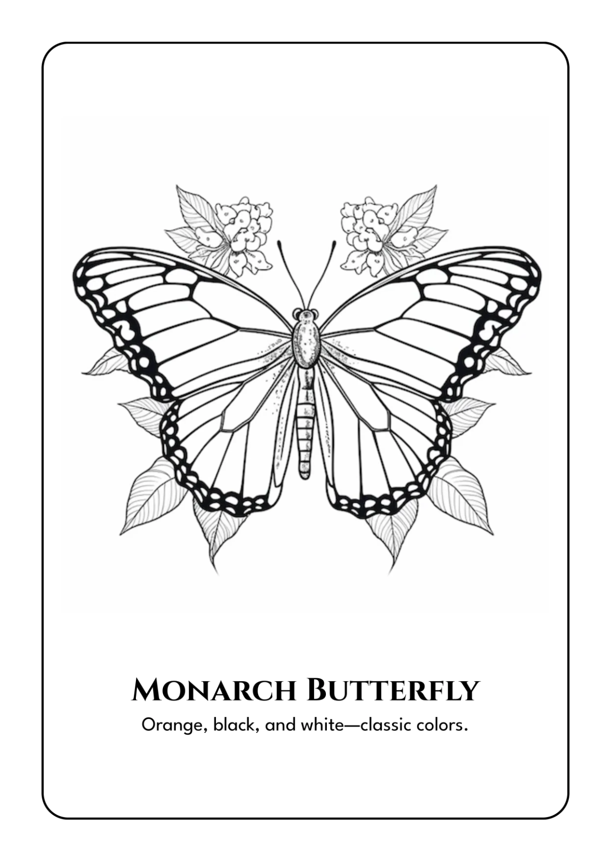 Free Butterfly Coloring Book Template to Edit Online