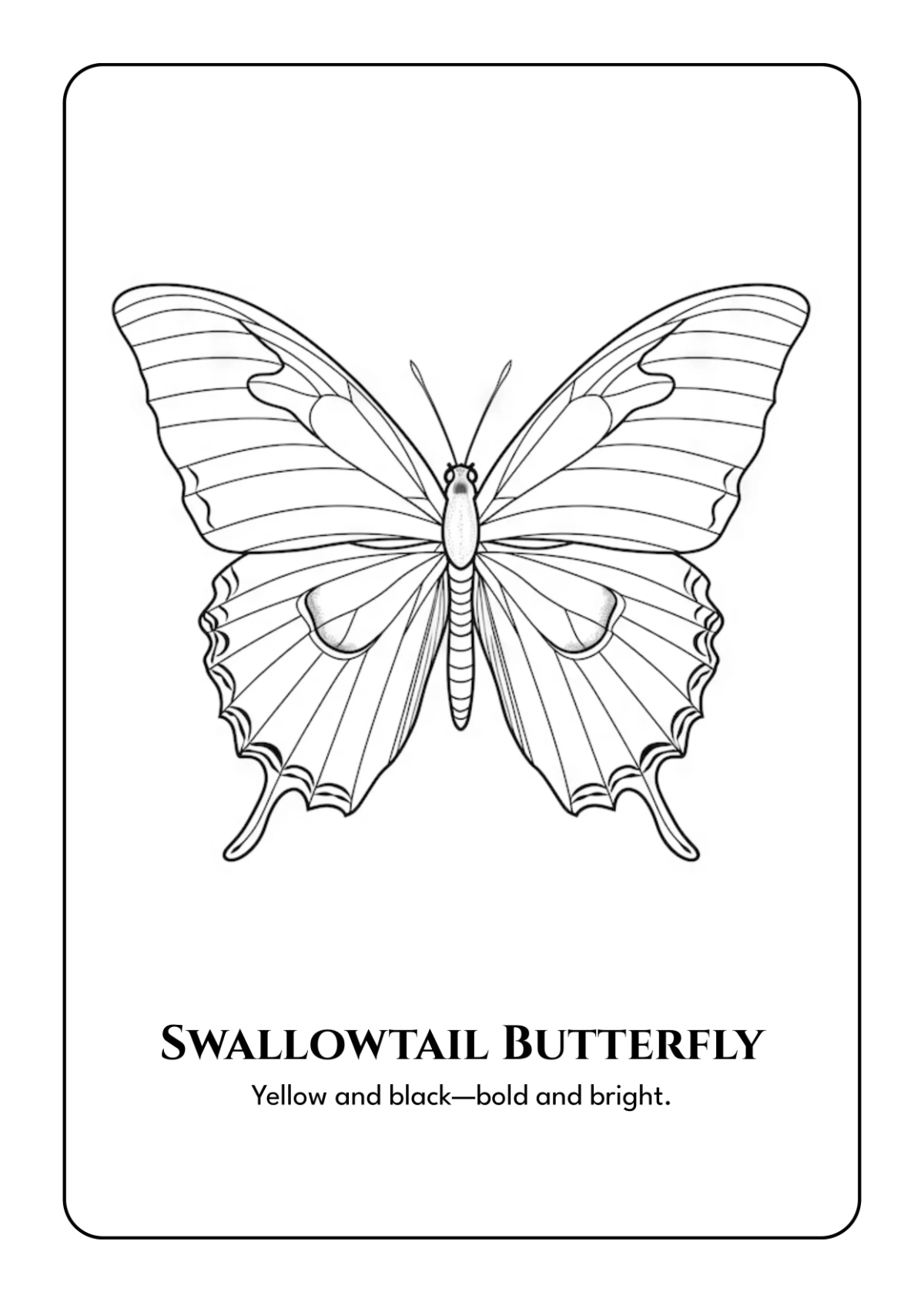 Free Butterfly Coloring Book Template to Edit Online