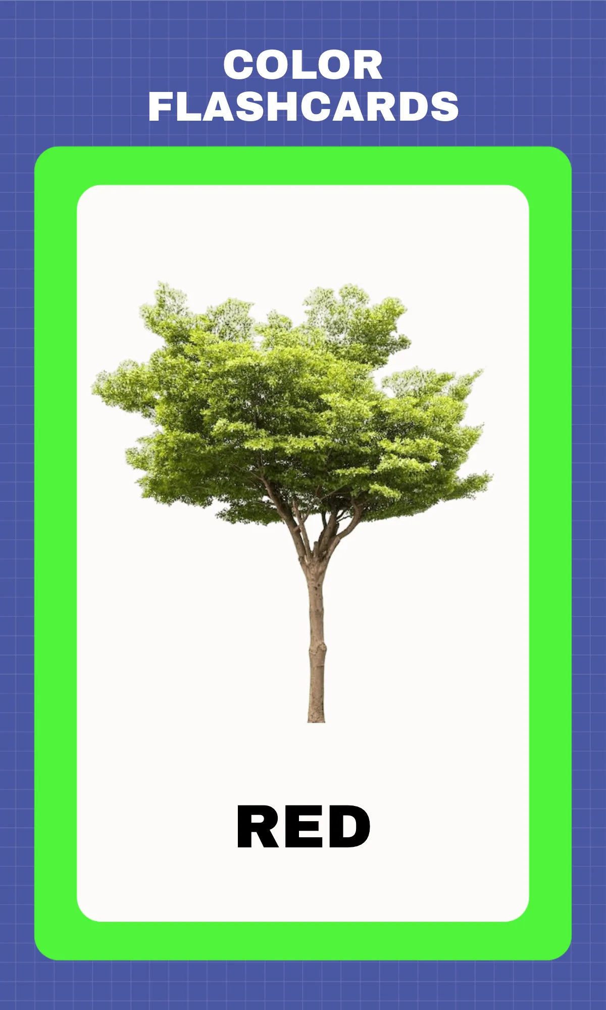 Free Colorful Printable Flashcards Template to Edit Online