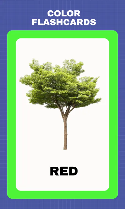 Free Colorful Printable Flashcards Template to Edit Online