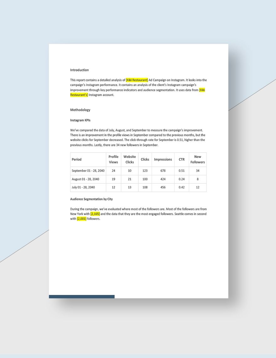 Advertising Campaign Report Template