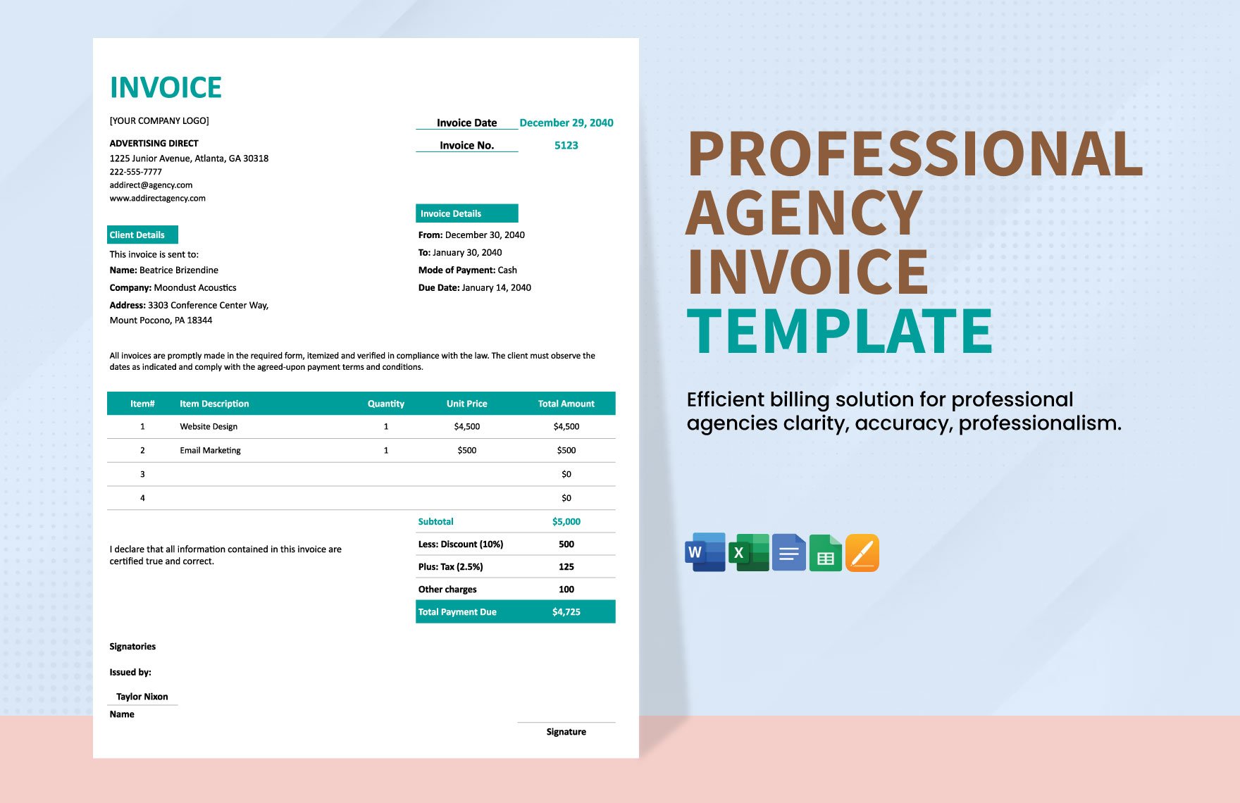 Professional Agency Invoice Template in Word, Google Docs, Excel, Google Sheets, Apple Pages