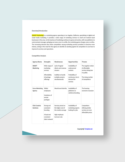 Agency Analysis Template - Google Docs, Word | Template.net