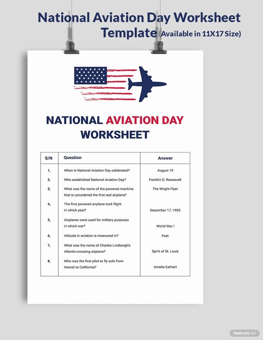National Aviation Day Worksheet Template