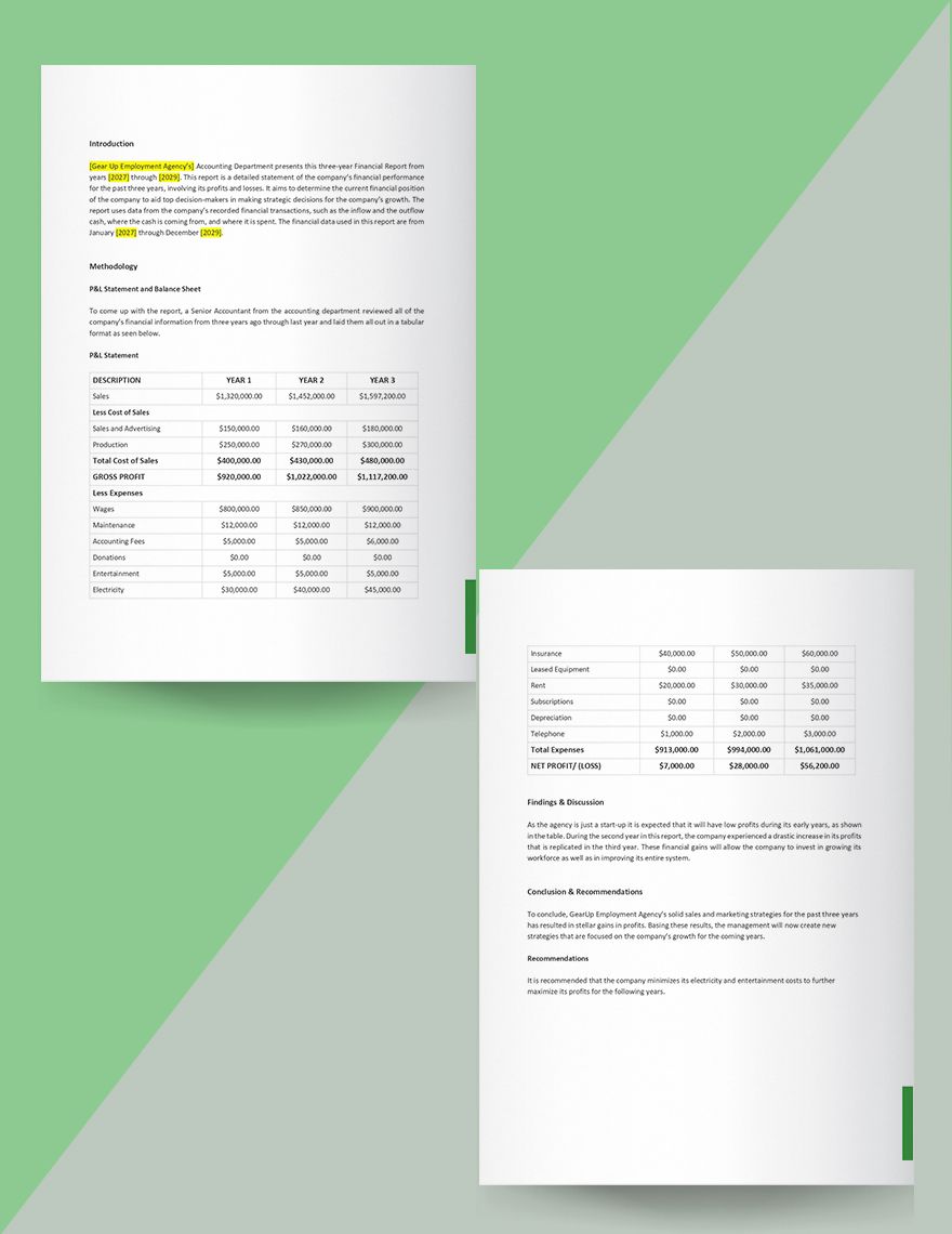 Agency Financial Report Template