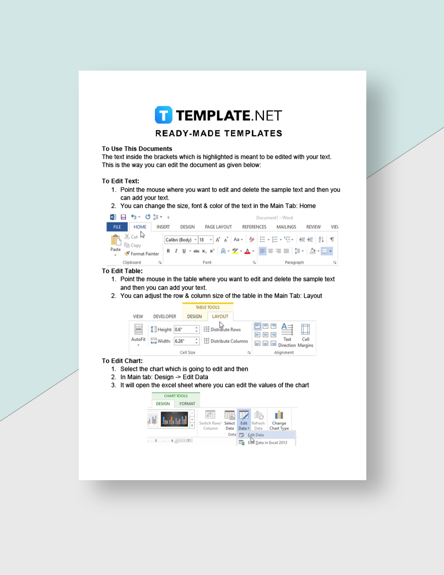 Individual Agency Report Template