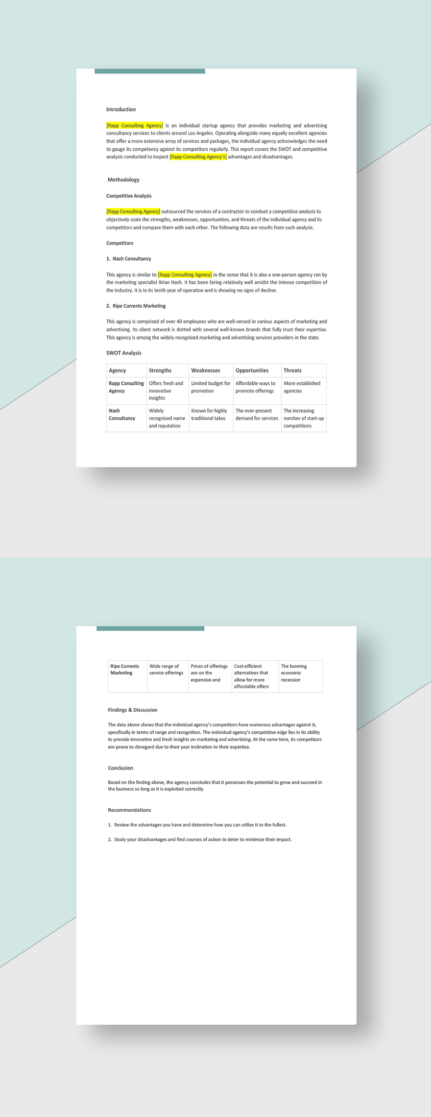 Individual Agency Report Template