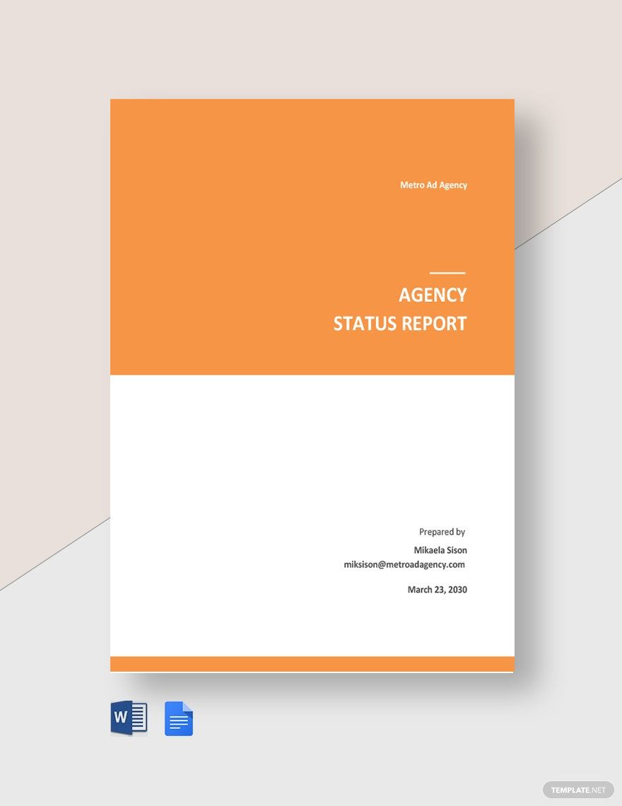 Agency Status Report Template