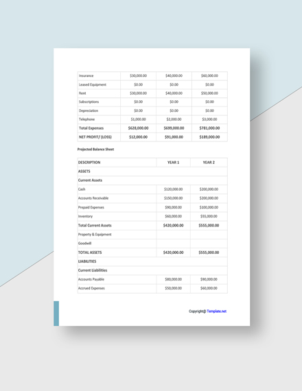 Free Sample Agency Plan Template - Google Docs, Word | Template.net