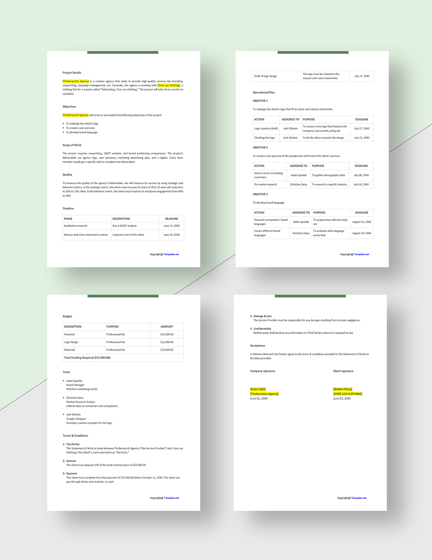 Sample Agency Statement Template