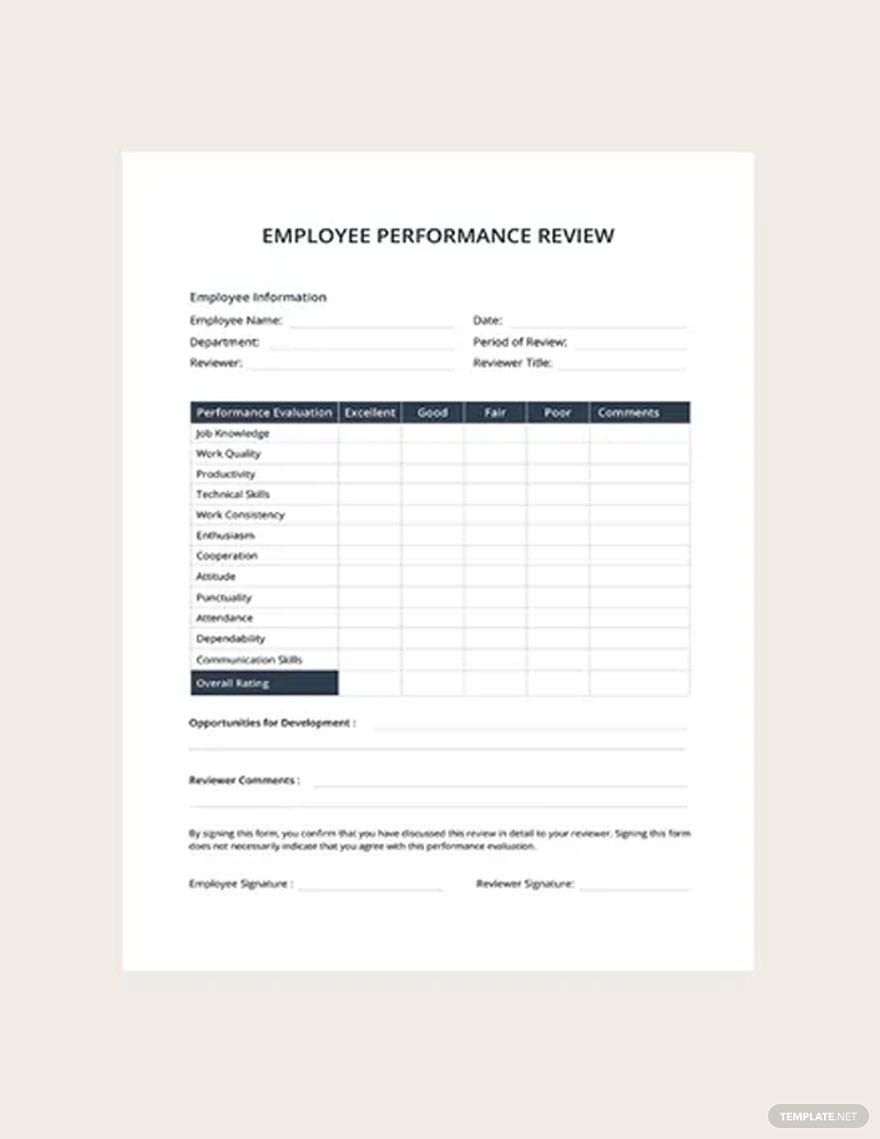 Employee Performance Review Template In Pages Word PDF Google Docs