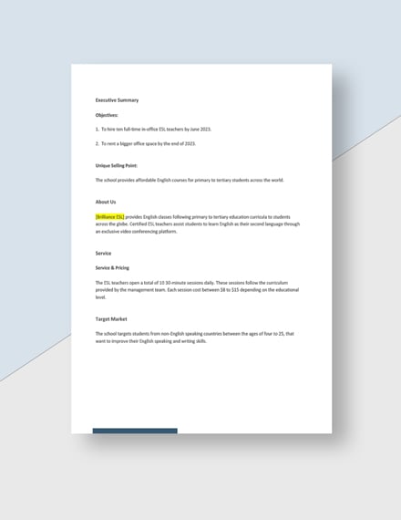 Small Business Startup Business Plan Template - Google Docs, Word ...