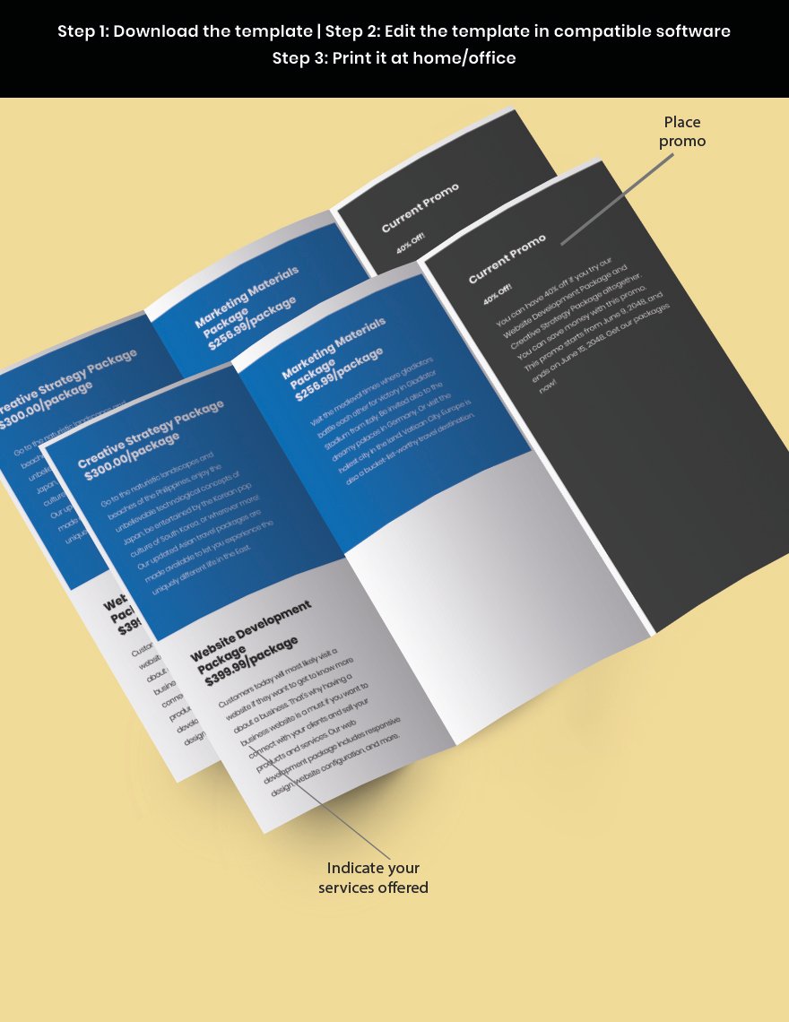 StartUp Agency TriFold Brochure Snippet