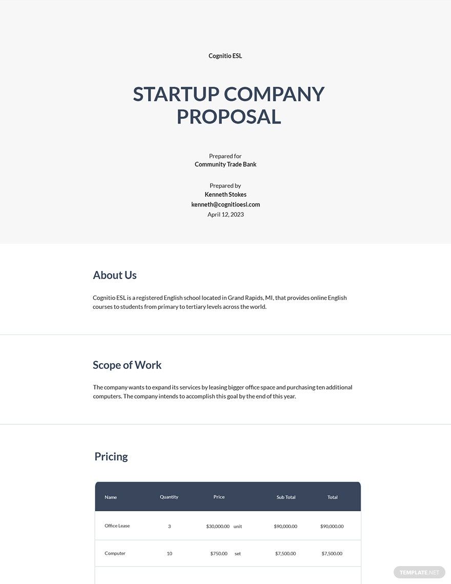 Free Startup Company Proposal Template