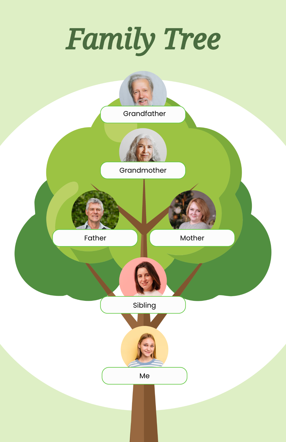 Free Fillable Family Tree Poster Template to Edit Online