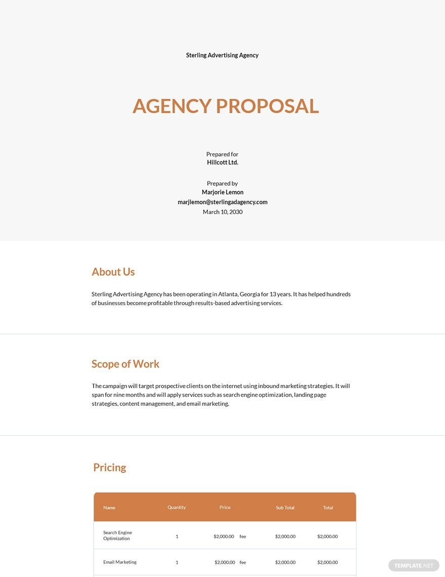 Free Sample Agency Proposal Template
