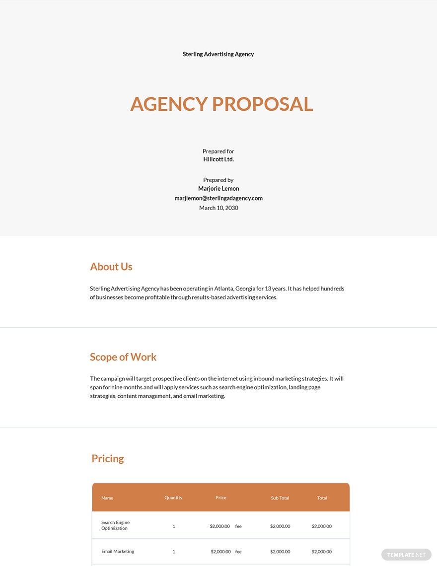 Free Sample Agency Proposal Template Word Template