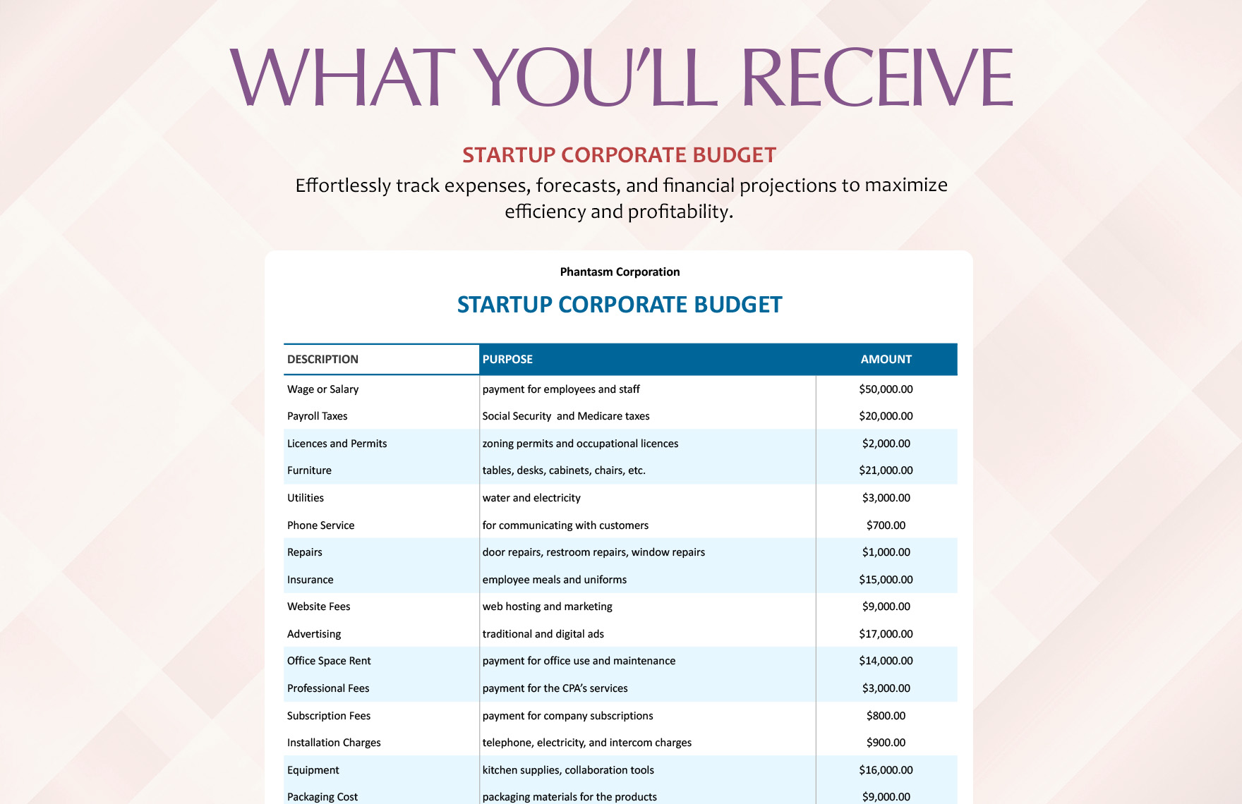 Startup Corporate Budget Template