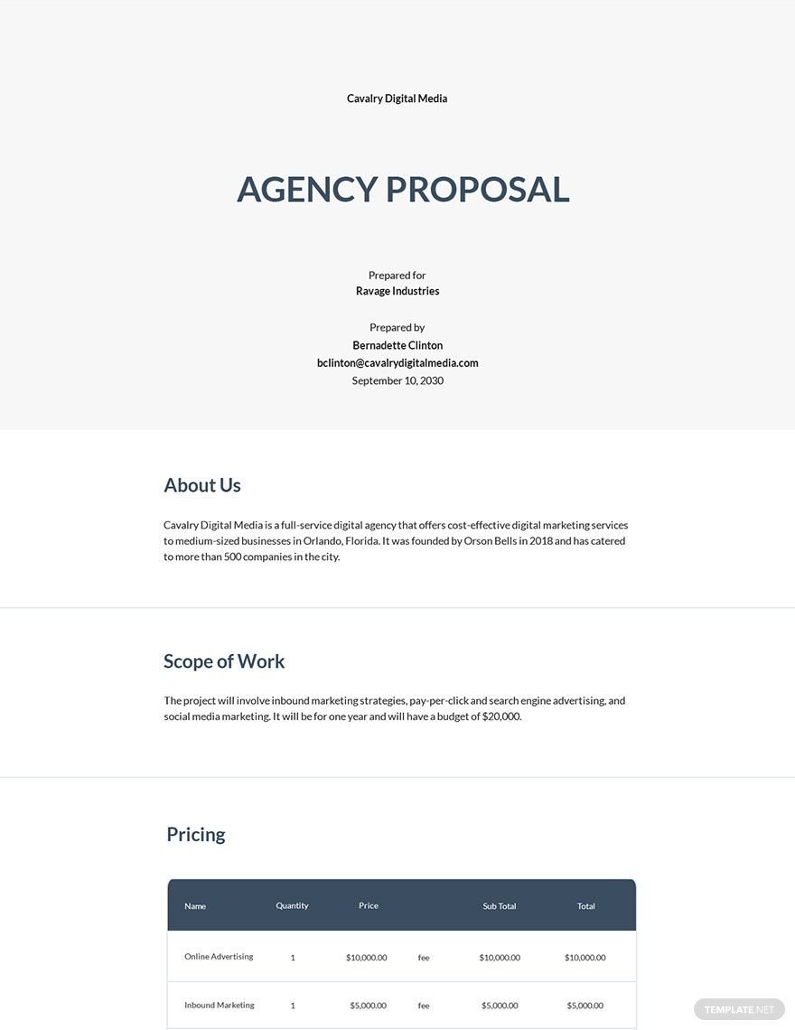Free Professional Agency Proposal Template
