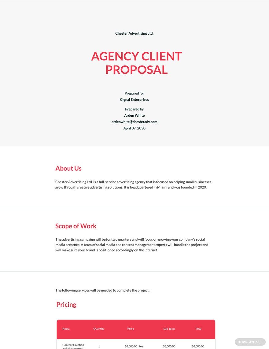 Agency Proposal to Client Template