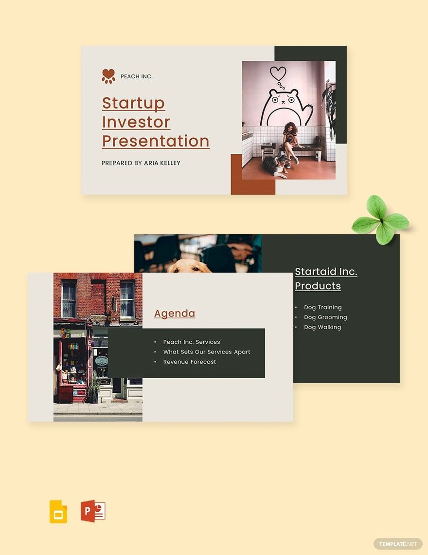 Startup Investor Presentation Template