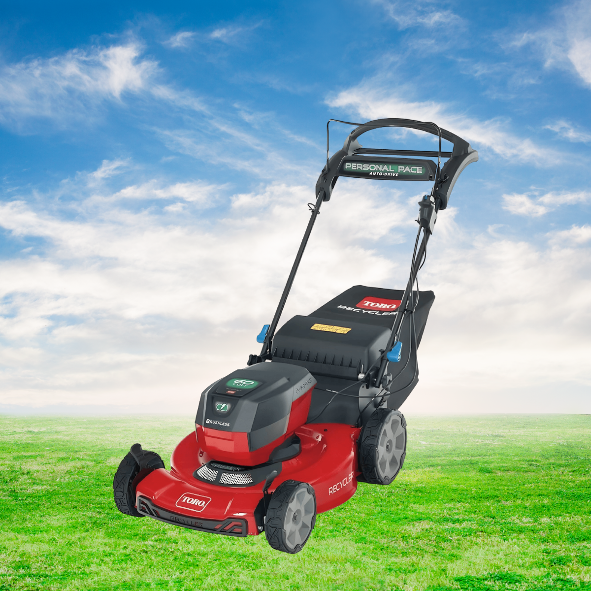 Free Lawn Mower Ebay Photo Template to Edit Online